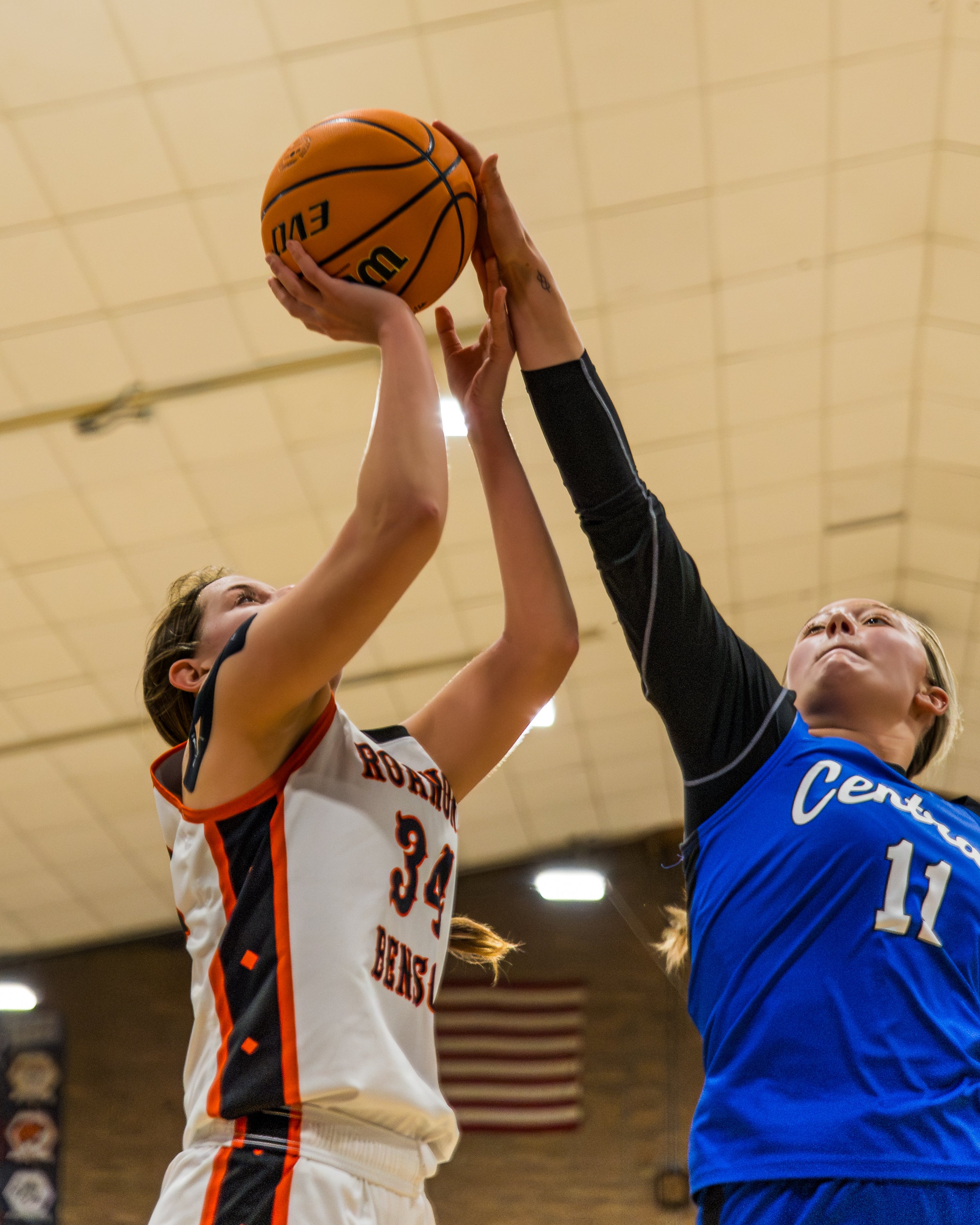 Lady Comets vs. Roanoke Benson | Regional Championship Photopack